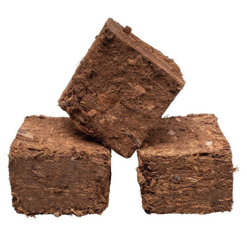 Briquettes de bois compressé Longue durée – Spécial nuit – Image 2